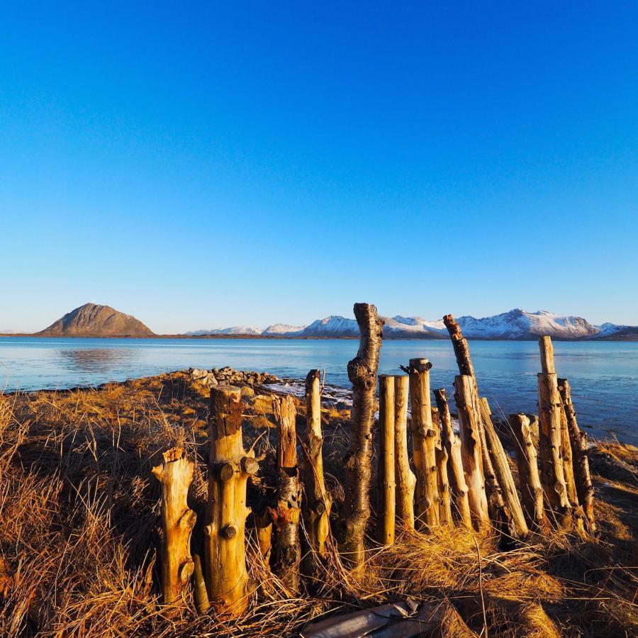 Eagle View Lofoten Bostad Zewnętrze zdjęcie